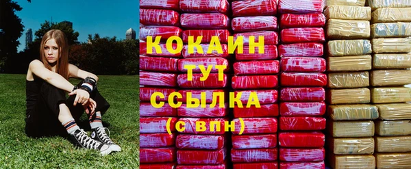 2c-b Рославль