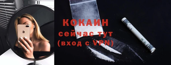 2c-b Рославль