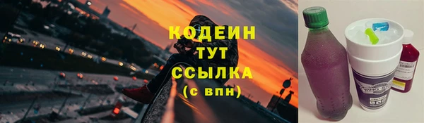 2c-b Рославль