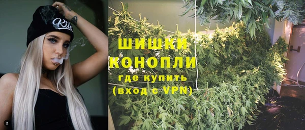трава Елабуга