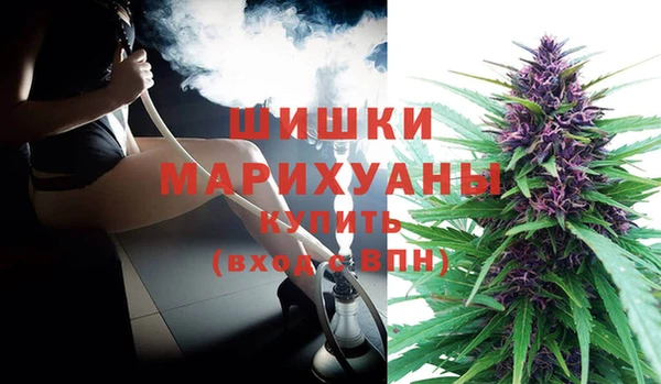 a pvp Ельня