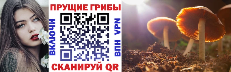 Галлюциногенные грибы мухоморы Себеж